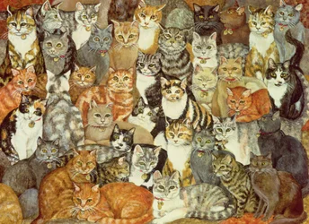 Propagação de gato