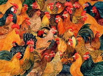 Aves Finas