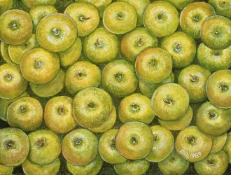 Propagação de maçã verde