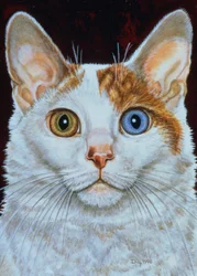 Minette, 1996 (acrílico no painel)