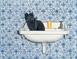 Meu gato do banheiro
