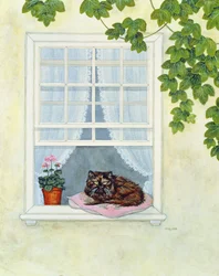 Pams Cat