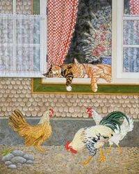 As aves de capoeira e os gatinhos