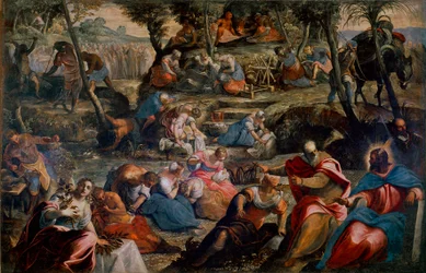 A Recoleção do Maná (Judeus no Deserto) Cena do Antigo Testamento: Deus alimenta os israelitas que morreriam de fome de ovos de codorniz e de maná (Maná). À direita, Aarão e Moisés. Pintura de Jacopo Robusti dit Tintoretto (o Tintoret) (1518-1594) 1592