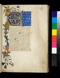 Sra. 373. Pseudo-Cicero, Rhetorica ad Herennium, e outras obras, f.1r. Iluminação inicial [E] e borda parcial com decoração de folha de acanto e flor, primeira linha de texto em maiúsculas brancas sobre fundo azul, c.1337 (pergaminho)