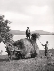 Carregando o feno em um vagão às margens do Loch Lomond, na Escócia, 1924-1926.
