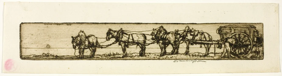 Cavalos de tiro
