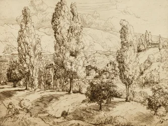 Campos de Asolo