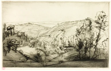 Campos de San Gimignano