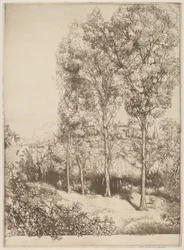 Luz solar e sombras, n.º 3