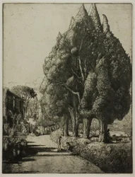 O bosque de ciprestes