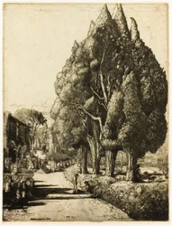 O bosque de ciprestes