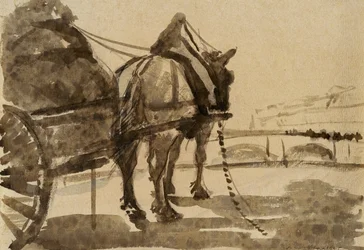 O Cavalo