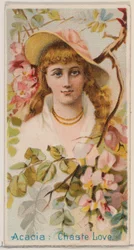 Acacia: Chaste Love, da série Floral Beauties and Language of Flowers N75 para Duk..., 1892.