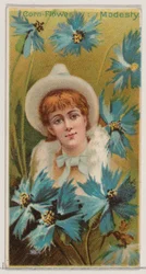 Centáurea: Modéstia, da série Belezas Florais e Linguagem das Flores N75 para Duk..., 1892.