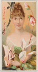Cyclamen: Diffidence, da série Floral Beauties and Language of Flowers N75 para Du..., 1892.