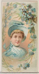 Forget-Me-Not, da série Floral Beauties and Language of Flowers N75 para Duke bran..., 1892.