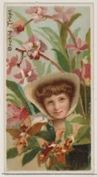 Orchid: Trust, da série Floral Beauties and Language of Flowers N75 para Duke bran..., 1892.