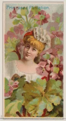 Primrose: Flirtation, da série Floral Beauties and Language of Flowers N75 for Du..., 1892.