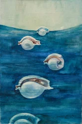 Migração