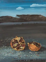 A romãzeira