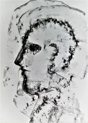 Perfil em camadas abstrato