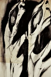 Formas Orgânicas Abstratas