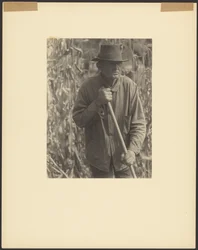 [Homem com enxada em plantação de sorgo].