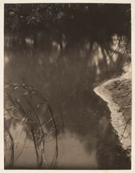 Estudo de árvores reflectidas na água, c.1925-34 (impressão em platina)