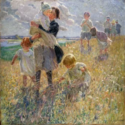 Um passeio à tarde