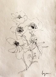Esboço floral delicado