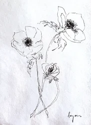 Esboço de uma flor delicada