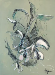 Esboço de uma orquídea elegante
