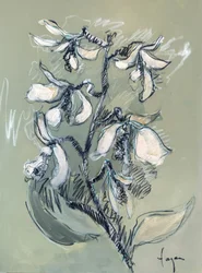 Esboço floral branco