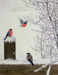 Pintassilgos numa vedação com neve