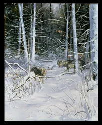Lobos numa floresta com neve