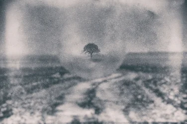 Caminho para a Árvore Solitária