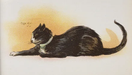 Um gato.