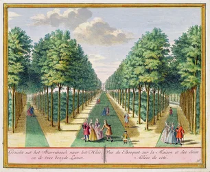 Visão da madeira para a casa e as duas avenidas laterais, Watervliet, de Het Zegenpralent Kennemerlant, por Hendrick de Leth e Matthias Brouerius Van Nidek, publicado c.1700-1730