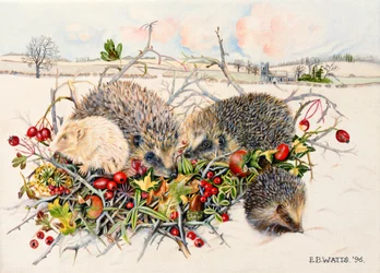Ouriços em Hedgerow Basket, 1996 (acrílico sobre tela)