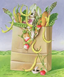 Saco de papel com legumes, 1992 (acrílico)