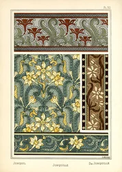 O Jonquil