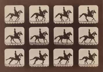 Atitudes of Animals in Motion, 1879, impresso em 1881.