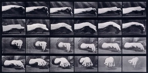 Um Estudo de Movimento de uma Mão, c.1872-1885
