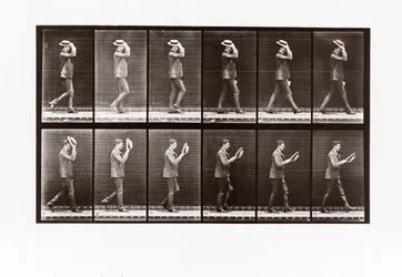 Homem, doffing, seu, boater, prato, 44, de, animal, locomotion, 1887