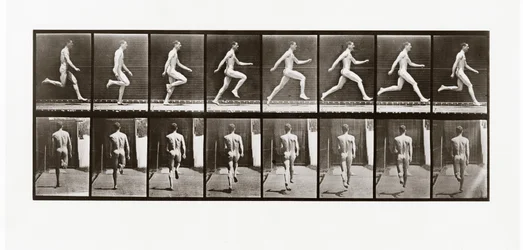 Homem, executando, prato, 65, animal, locomotion, 1887