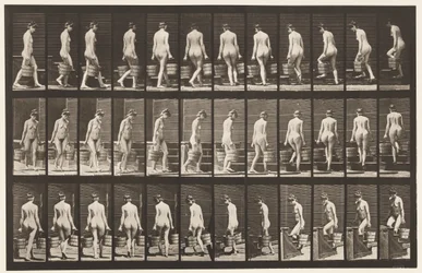 Ilustração 104. Escadas Giratórias e Ascendentes, Balde de Água em Cada Mão, 1872-1885