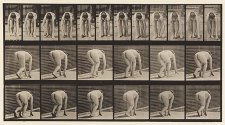 Ilustração 184. Andando com as mãos e os pés