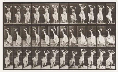 Placa 190. Dança (Nautch)