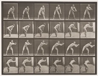 Placa 280. Bola-bola; Captura, 1885